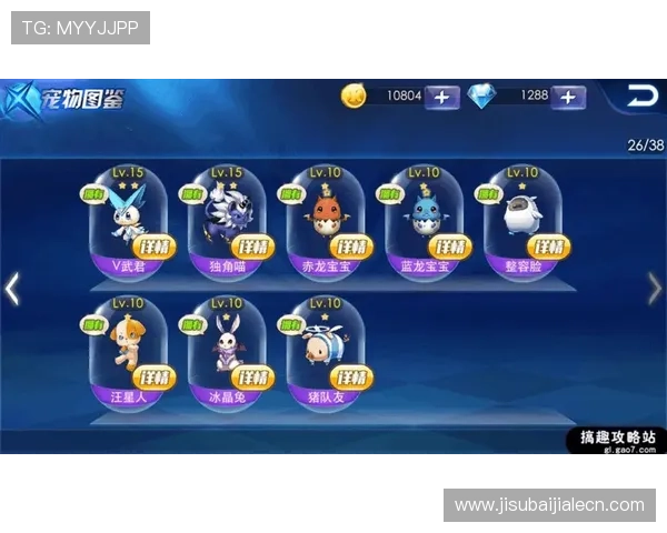 K8视讯厅新手入门指南，快速掌握游戏操作与玩法技巧